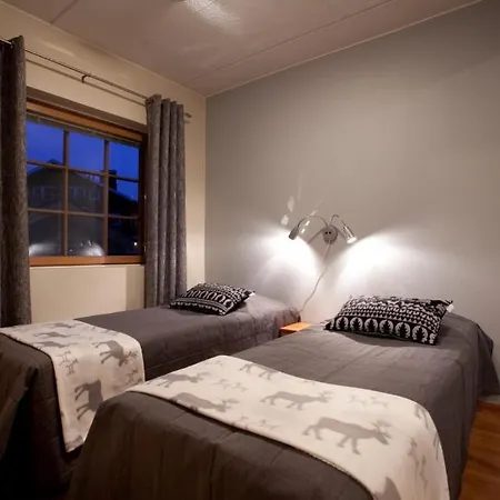 酒店 President Skimbaajankuja 列维